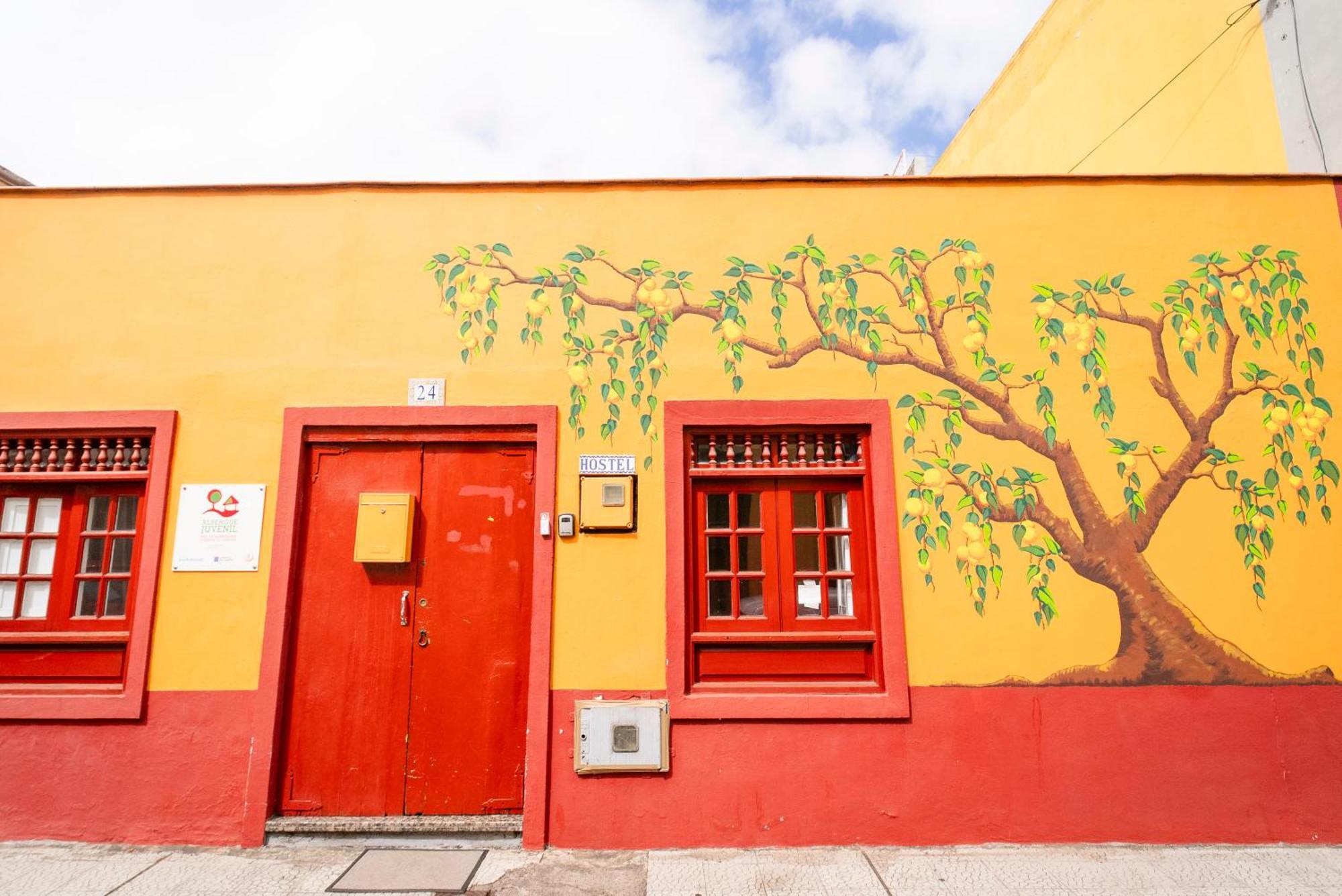 Hostel Tenerife La Orotava Exteriör bild